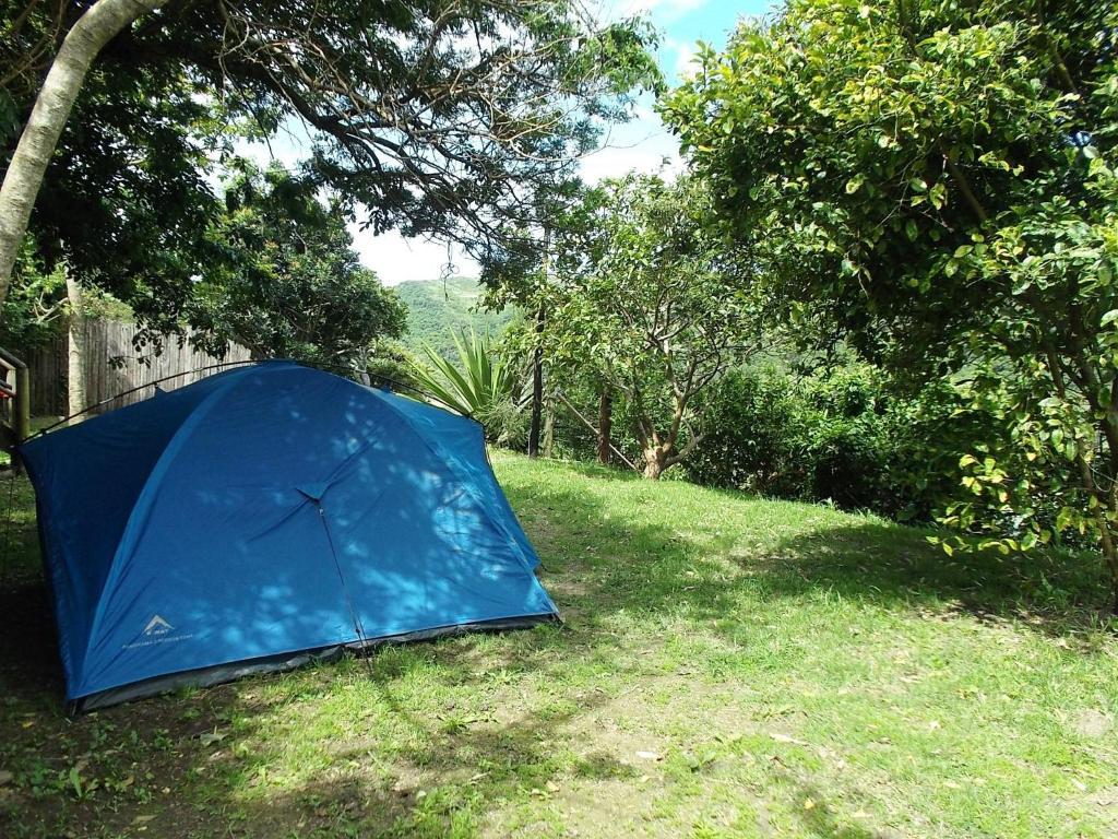 Amapondo Backpacker Lodge Port Saint Johnʼs Exteriér fotografie